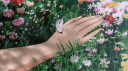 ☽𝐎𝐚𝐬𝐢𝐬 𝐨𝐟 𝐓𝐫𝐚𝐧𝐪𝐮𝐢𝐥𝐢𝐭𝐲☾ Discord server banner