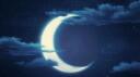 Moonlit Paws Banner