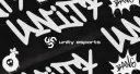 Unity Esports banner