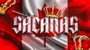SACANAS ® 2020  Banner