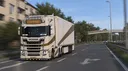 Golden Phoenix Express banner