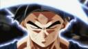 Dragon Ball OV Official Banner