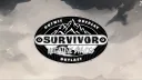 Survivor League banner