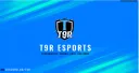 The 9th Realm eSports banner