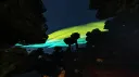 Meora banner