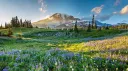 The Palace Discord server banner