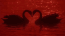 Lover's Arena™ | Socialize . Chilling . Hangout . Gaming . Giveaways banner