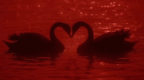 Lover's Arena™ | Socialize . Chilling . Hangout . Gaming . Giveaways banner