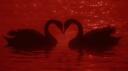 Lover's Arena™ | Socialize . Chilling . Hangout . Gaming . Giveaways Banner