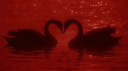 Lover's Arena™ | Socialize . Chilling . Hangout . Gaming . Giveaways Banner
