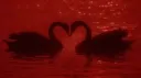 Lover's Arena™ | Socialize . Chilling . Hangout . Gaming . Giveaways banner