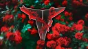 🌹 Team Thorn 🌹 banner