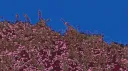 𝐅𝐂 𝐋𝐮𝐭𝐡𝐞𝐫' banner