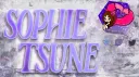 Sophie's Blueberry Store banner