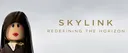 SkyLink Group banner