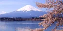 Nihongo Study Group server banner