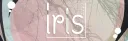 Iris. banner