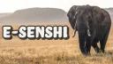 E-Senshi 🦋 anime ⋆ art ⋆ events ⋆ gaming ⋆ social ⋆ emotes ⋆ vc ⋆ Discord server banner