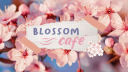 Blossom café Discord server banner