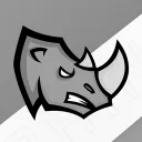 CrashCord (Rhinos MLE) banner