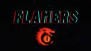 Flamers | Gaming・Dota 2・LOL・WOW・Fornite・Minecraf・L4D・E-Sport banner