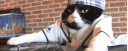 banner