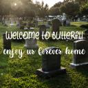 butterfli ‹𝟹 Banner