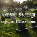 butterfli ‹𝟹 Discord server banner