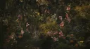 𝑴𝒐𝒐𝒏𝒍𝒊𝒈𝒉𝒕 banner