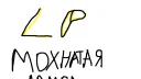 π‘πππππ ππππππππ₯ banner