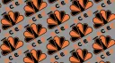 aclee_ banner