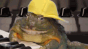 Toad banner