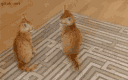 Snerver Discord server banner