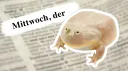 It is sometimes wednesday my Dudes! banner