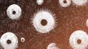 ᴛʜᴇ ᴇʟᴅʀɪᴛᴄʜ ᴄɪʀᴄʟᴇ banner
