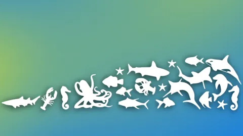 Busch Entertainment banner