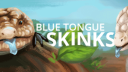 Blue Tongue Skinks Discord server banner