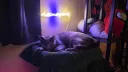Gamerzone banner