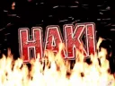 HAKI ARK Banner