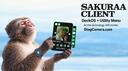 Sakuraa Client Banner