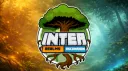 Inter Realms Community Server banner