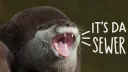 IT'S HEH banner