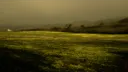 [bumper collective] banner