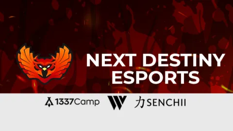 Next Destiny eSports banner
