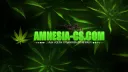 👑 AMNESIA-CS 👑 banner
