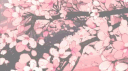 folded's shelf banner