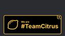 #TeamCitrus Banner