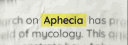 banner