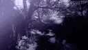 ice . * ౨ৎ server banner