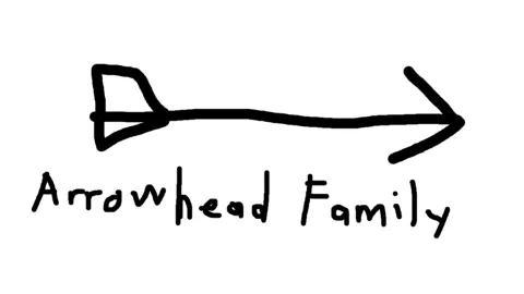 The Arrowhead Family banner